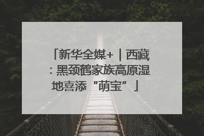 新华全媒+｜西藏：黑颈鹤家族高原湿地喜添“萌宝”