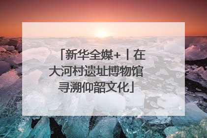 新华全媒+丨在大河村遗址博物馆寻溯仰韶文化
