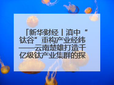 新华财经丨滇中“钛谷”重构产业经纬——云南楚雄打造千亿级钛产业集群的探索与实践