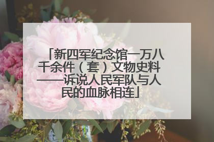 新四军纪念馆一万八千余件（套）文物史料——诉说人民军队与人民的血脉相连