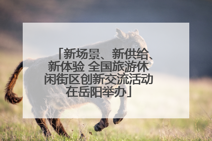 新场景、新供给、新体验 全国旅游休闲街区创新交流活动在岳阳举办