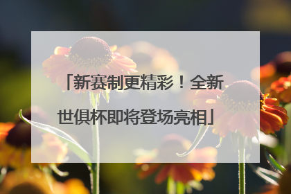 新赛制更精彩！全新世俱杯即将登场亮相