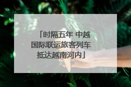 时隔五年 中越国际联运旅客列车抵达越南河内