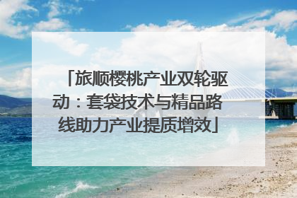 旅顺樱桃产业双轮驱动：套袋技术与精品路线助力产业提质增效