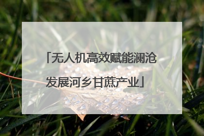 无人机高效赋能澜沧发展河乡甘蔗产业