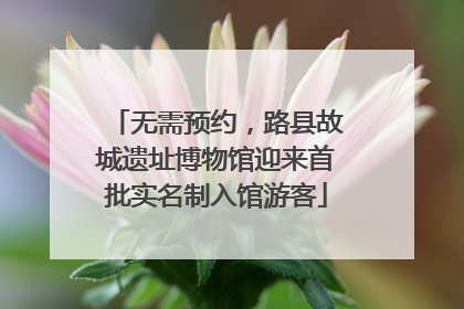 无需预约，路县故城遗址博物馆迎来首批实名制入馆游客