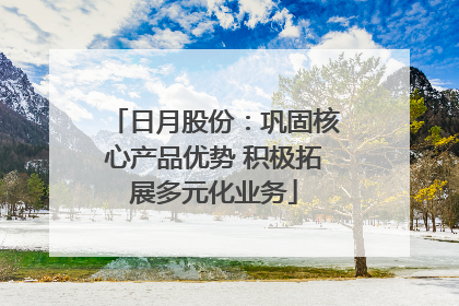 日月股份：巩固核心产品优势 积极拓展多元化业务