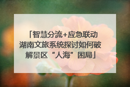 智慧分流+应急联动 湖南文旅系统探讨如何破解景区“人海”困局