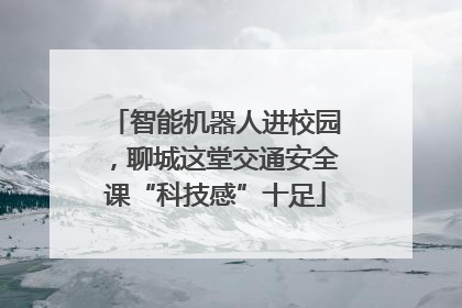 智能机器人进校园，聊城这堂交通安全课“科技感”十足