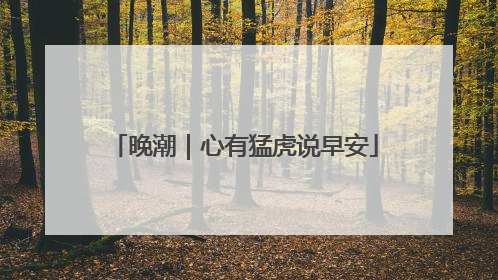 晚潮｜心有猛虎说早安