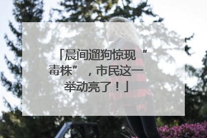 晨间遛狗惊现“毒株”，市民这一举动亮了！