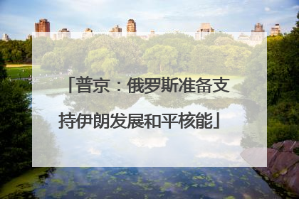 普京：俄罗斯准备支持伊朗发展和平核能