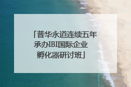 普华永道连续五年承办IBI国际企业孵化器研讨班