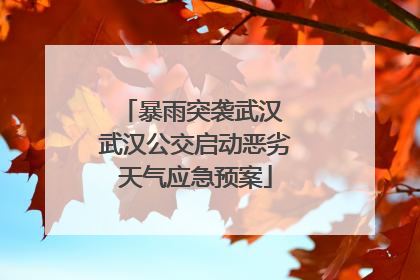 暴雨突袭武汉 武汉公交启动恶劣天气应急预案