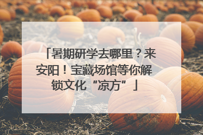 暑期研学去哪里？来安阳！宝藏场馆等你解锁文化“凉方”