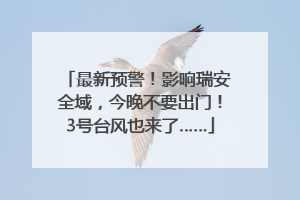 最新预警！影响瑞安全域，今晚不要出门！3号台风也来了……