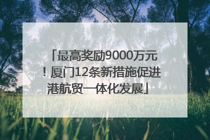 最高奖励9000万元！厦门12条新措施促进港航贸一体化发展
