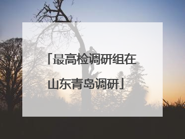 最高检调研组在山东青岛调研