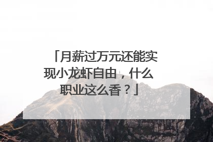 月薪过万元还能实现小龙虾自由，什么职业这么香？