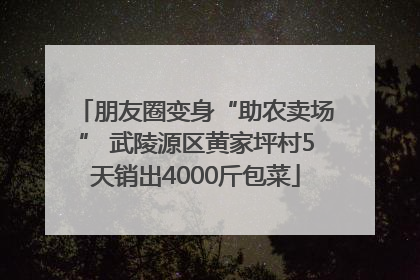 朋友圈变身“助农卖场” 武陵源区黄家坪村5天销出4000斤包菜