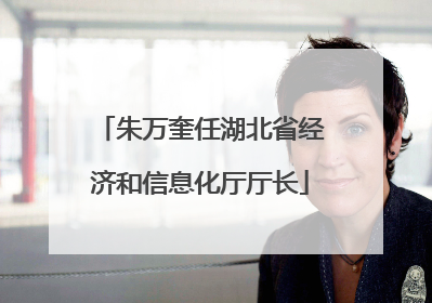 朱万奎任湖北省经济和信息化厅厅长