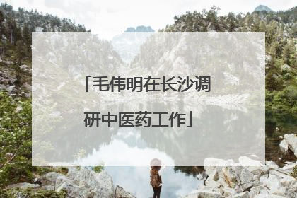 毛伟明在长沙调研中医药工作
