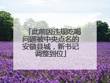 此前因违规吃喝问题被中央点名的安徽县城，新书记调整到位