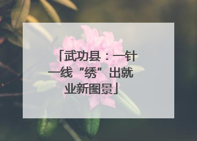 武功县：一针一线“绣”出就业新图景
