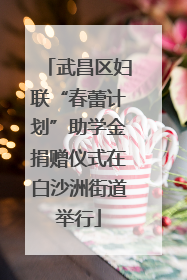 武昌区妇联“春蕾计划”助学金捐赠仪式在白沙洲街道举行