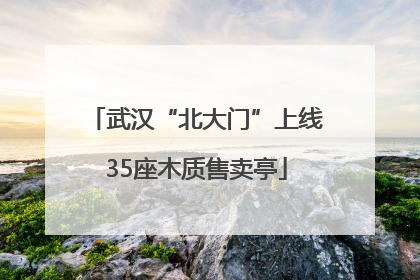 武汉“北大门”上线35座木质售卖亭