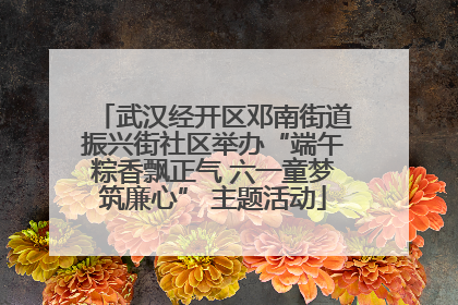 武汉经开区邓南街道振兴街社区举办“端午粽香飘正气 六一童梦筑廉心” 主题活动
