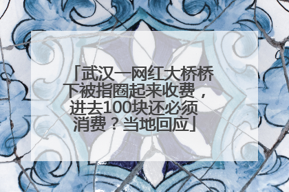 武汉一网红大桥桥下被指圈起来收费，进去100块还必须消费？当地回应