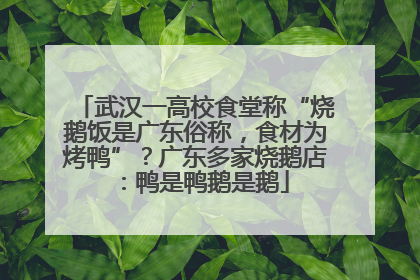 武汉一高校食堂称“烧鹅饭是广东俗称，食材为烤鸭”？广东多家烧鹅店：鸭是鸭鹅是鹅