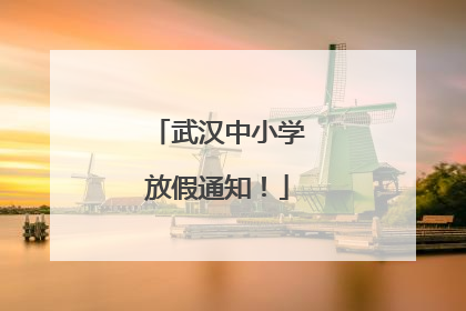 武汉中小学放假通知！