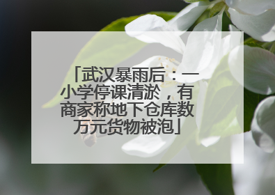 武汉暴雨后：一小学停课清淤，有商家称地下仓库数万元货物被泡