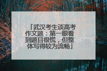武汉考生谈高考作文题：第一眼看到题目很慌，但整体写得较为流畅