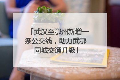 武汉至鄂州新增一条公交线，助力武鄂同城交通升级