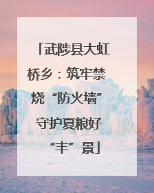 武陟县大虹桥乡：筑牢禁烧“防火墙” 守护夏粮好“丰”景