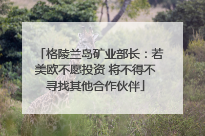 格陵兰岛矿业部长：若美欧不愿投资 将不得不寻找其他合作伙伴