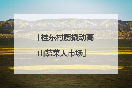 桂东村厨撬动高山蔬菜大市场