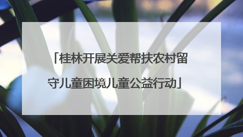 桂林开展关爱帮扶农村留守儿童困境儿童公益行动