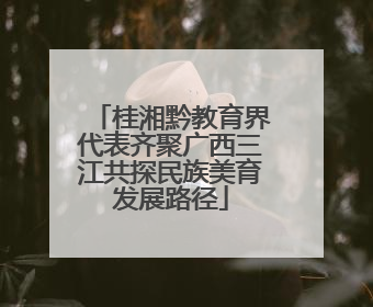 桂湘黔教育界代表齐聚广西三江共探民族美育发展路径
