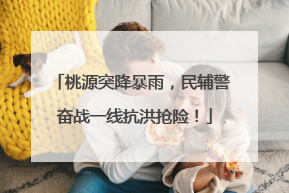 桃源突降暴雨，民辅警奋战一线抗洪抢险！