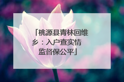 桃源县青林回维乡：入户查实情 监督保公平
