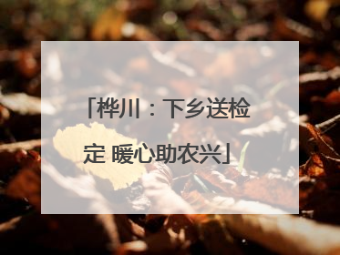 桦川：下乡送检定 暖心助农兴