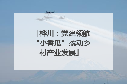 桦川：党建领航“小香瓜”撬动乡村产业发展