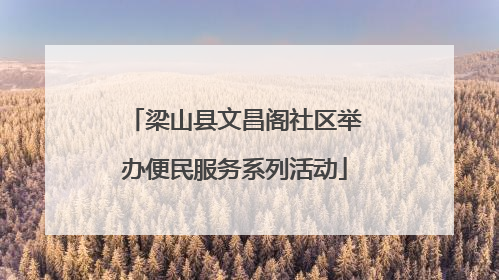 梁山县文昌阁社区举办便民服务系列活动