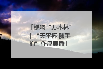 槌响“万木林”｜“天平杯·随手拍”作品展播