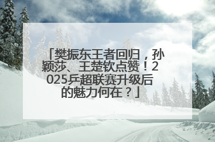 樊振东王者回归，孙颖莎、王楚钦点赞！2025乒超联赛升级后的魅力何在？