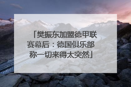 樊振东加盟德甲联赛幕后：德国俱乐部称一切来得太突然
